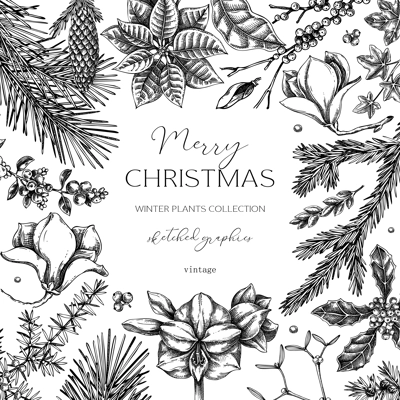 Vintage Christams card template. Minimalist style winter wedding invitation design. Conifer trees, winter flowers sketches. Hand-drawn botanical illustration. NOT AI generated